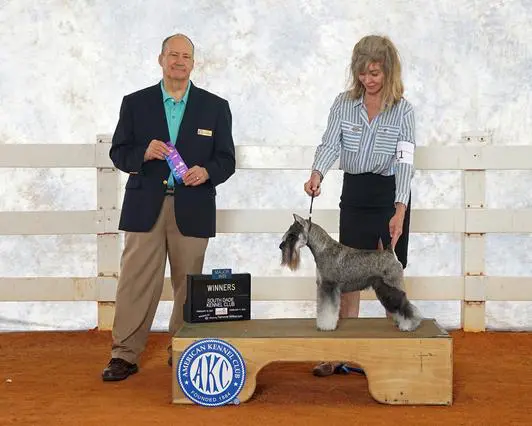 A man and woman standing next to a dog on top of a bench.