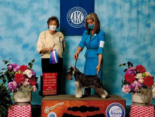 A woman standing next to a dog on top of a wooden platform.