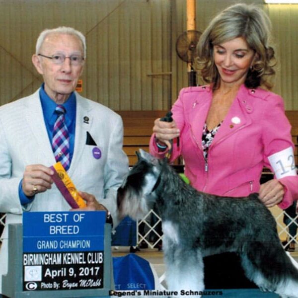 A man and woman standing next to a dog.