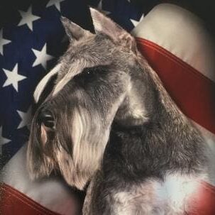 A dog that is sitting in front of an american flag.